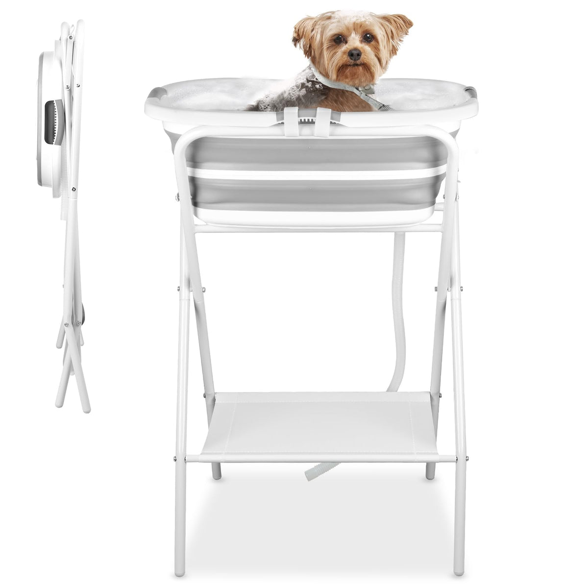Elevated Dog Bathtub C95502