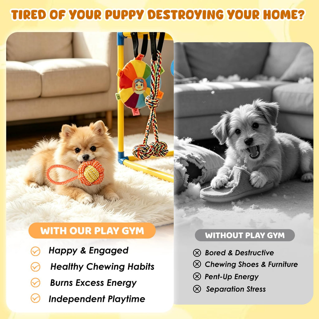 Puppy Play Gym with 14 Hanging Toys C383761