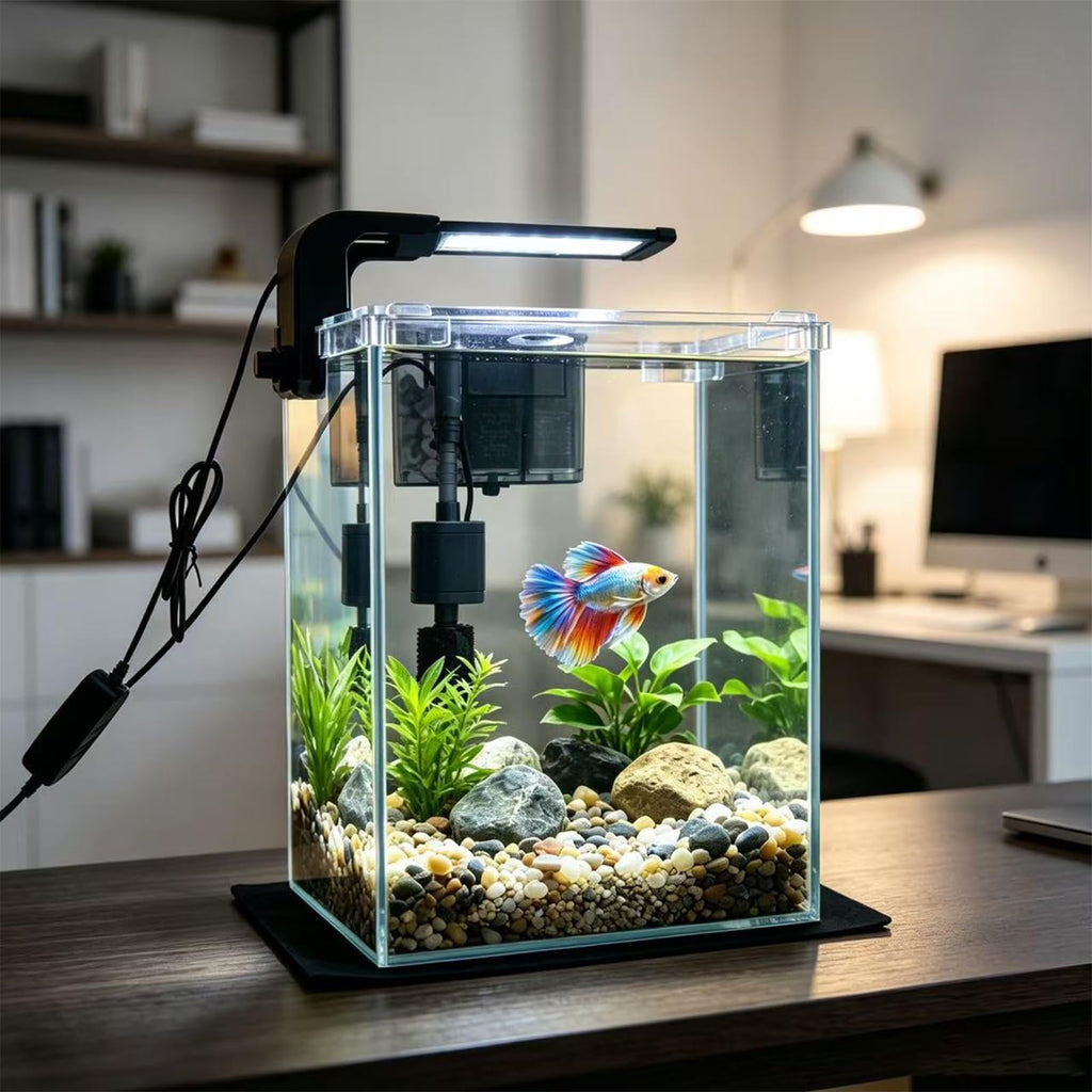 2 Gallon Betta Fish Tank with Filter and Light K543297