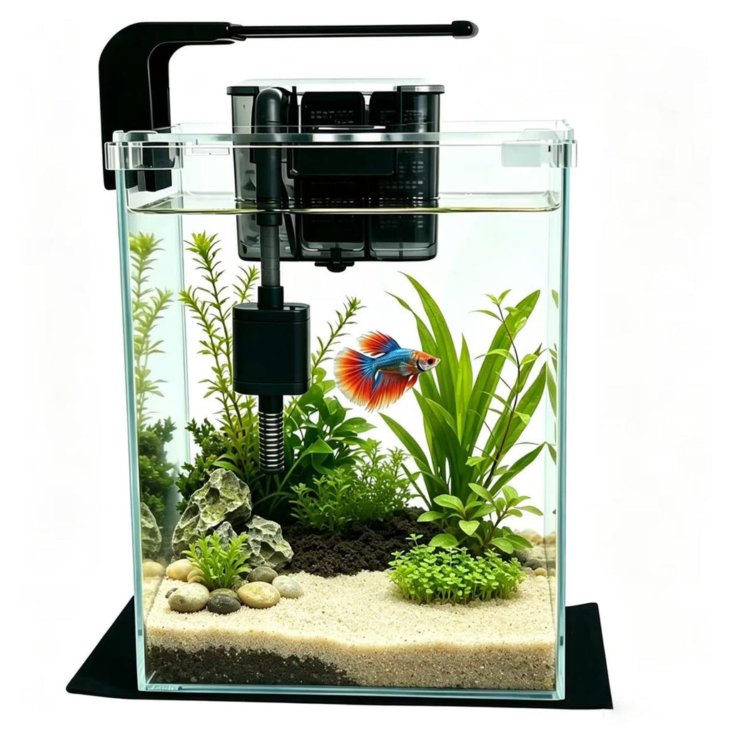 2 Gallon Betta Fish Tank with Filter and Light K543297