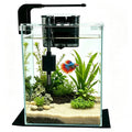 2 Gallon Betta Fish Tank with Filter and Light K543297