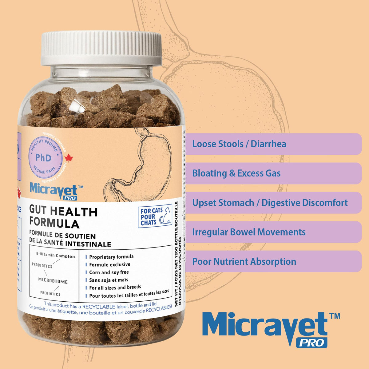 Probiotic Soft Chews for Cats F612