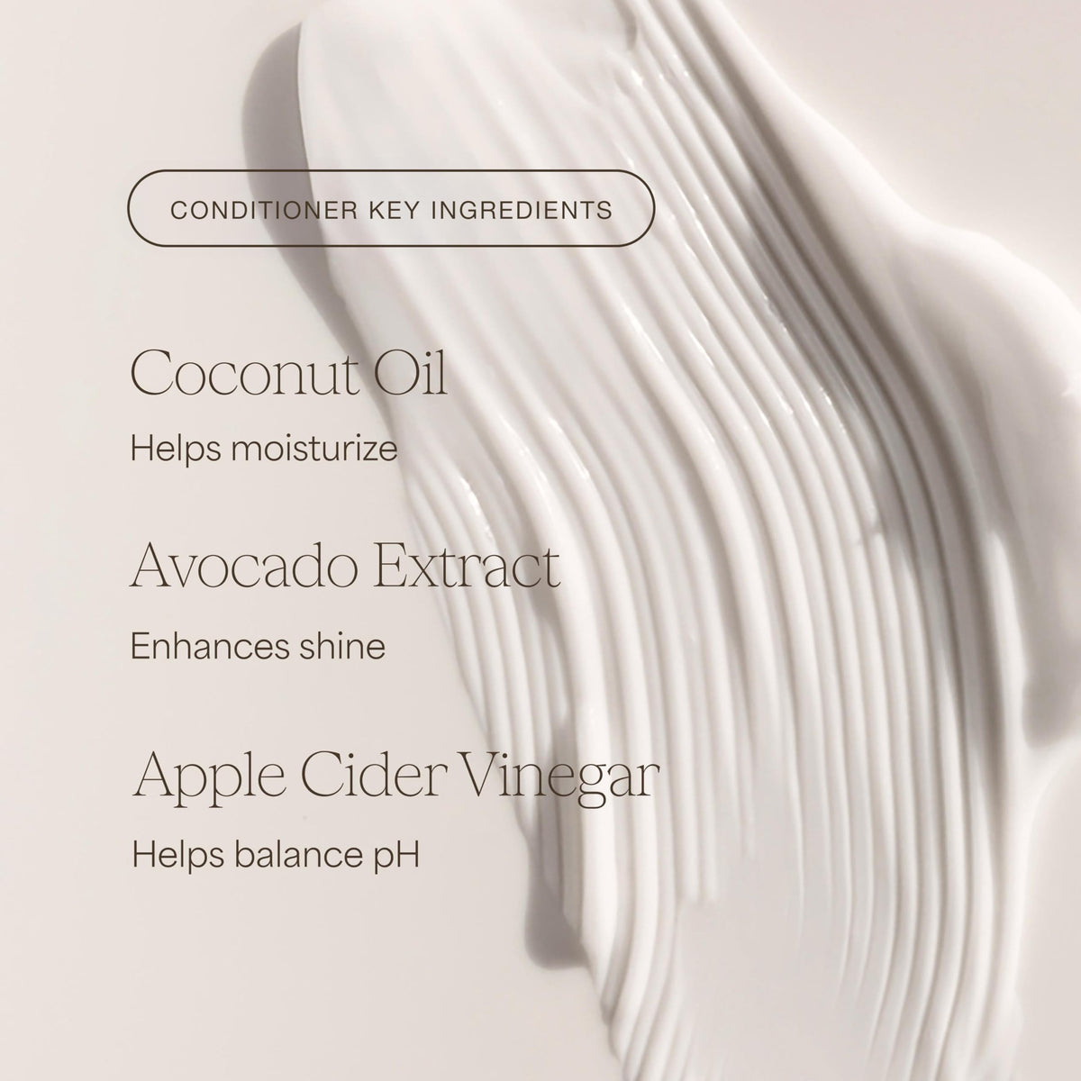 Shampoo and Conditioner Set 16 Fl Oz J87080