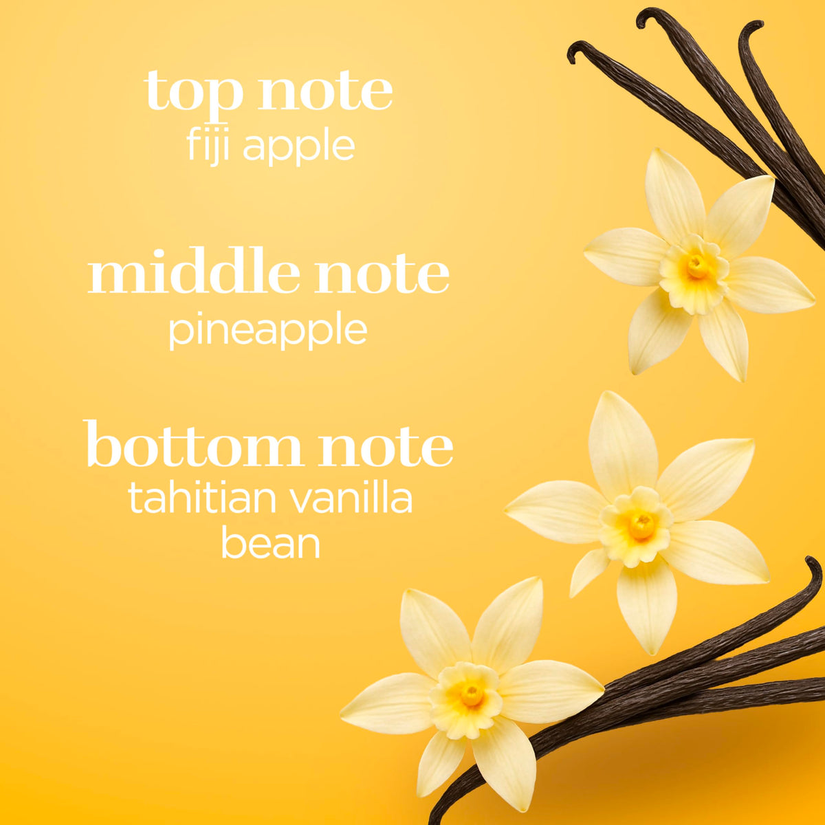 Vanilla Fragrance Body Spray 8 Ounce F484
