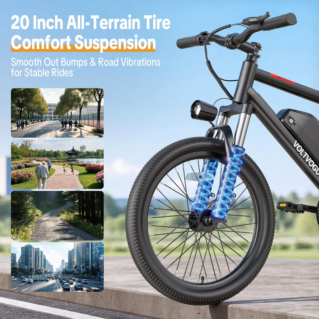 48V 1000W Peak Motor 22 mph 20Inch Fat Tires Electric E-Bike T133