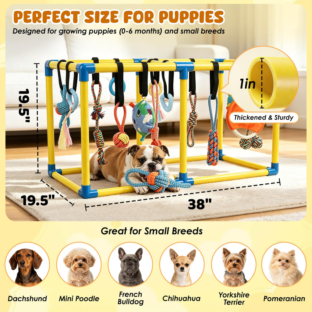 Puppy Play Gym with 14 Hanging Toys C383761