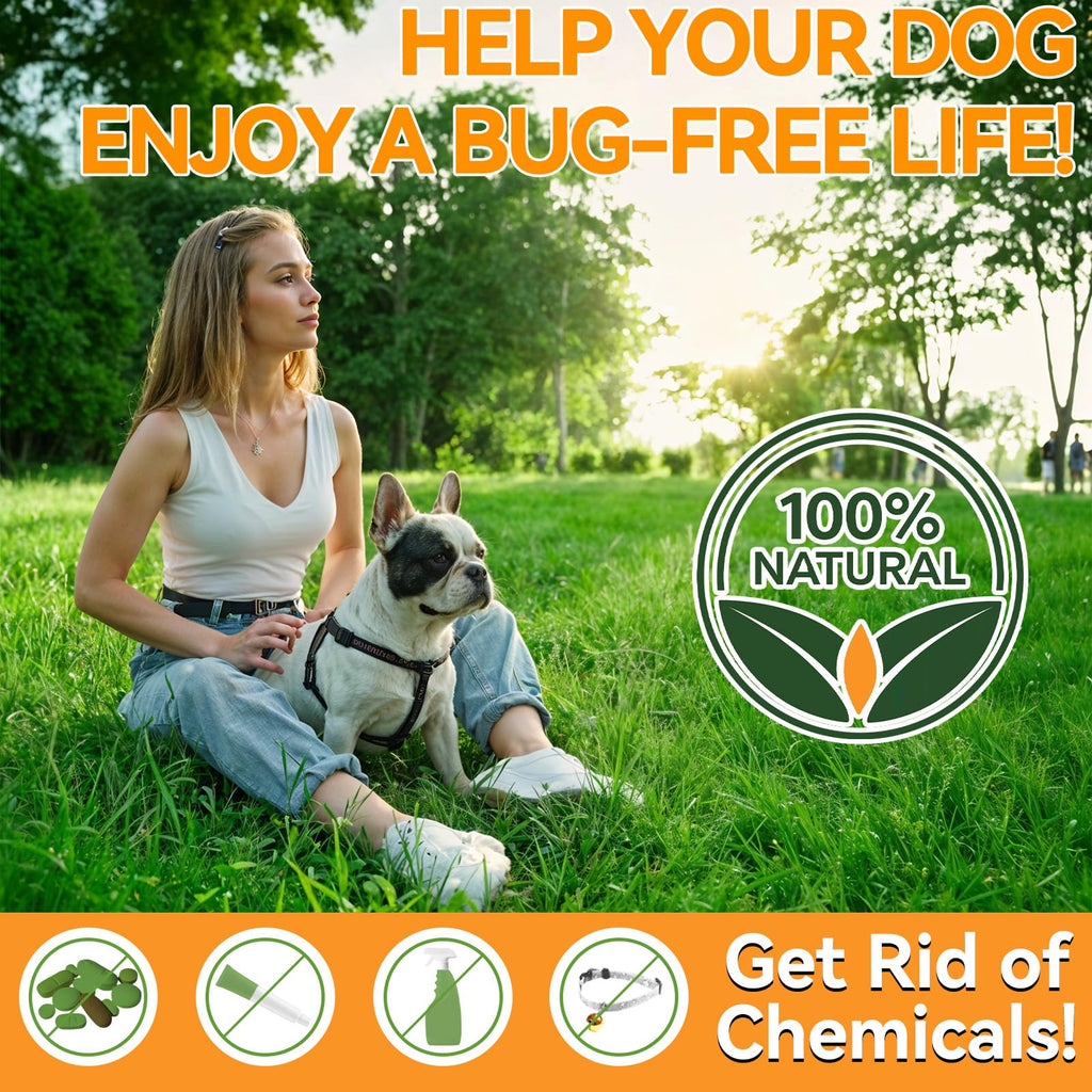 Flea and Tick Prevention for Dogs Q980114