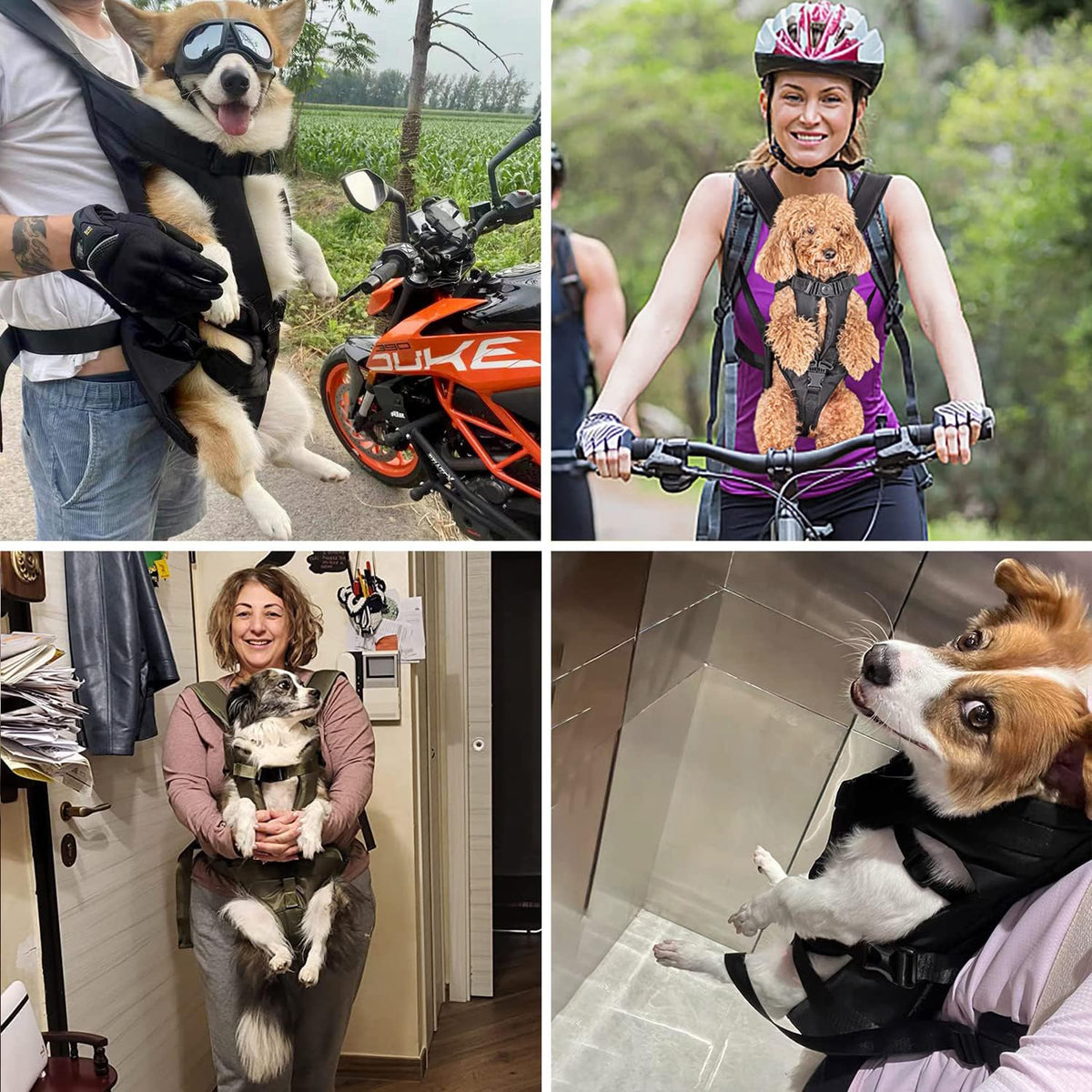 Adjustable Legs Out Dog Carrier Backpack L308