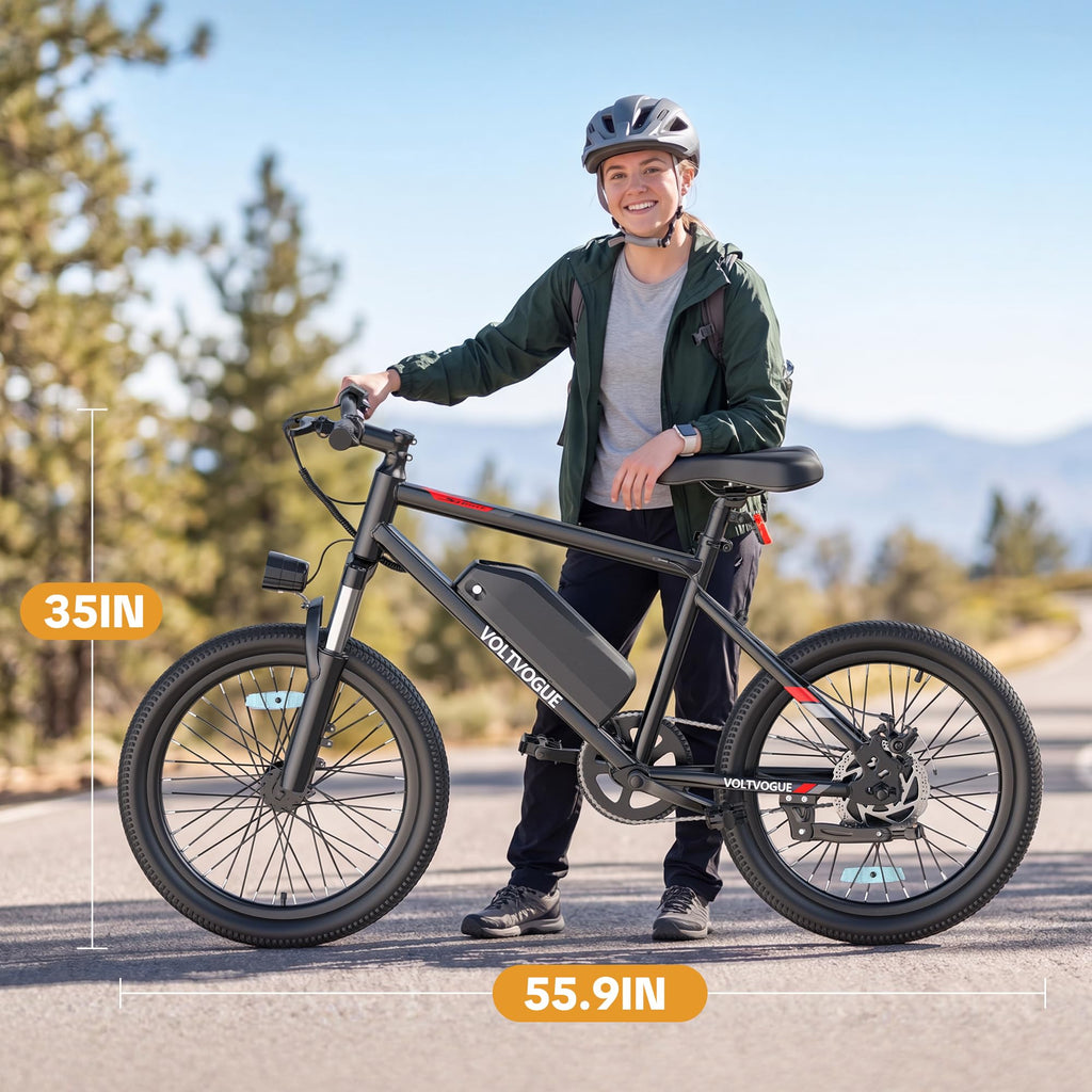48V 1000W Peak Motor 22 mph 20Inch Fat Tires Electric E-Bike T133