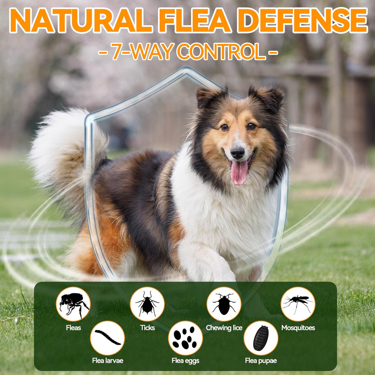 Flea and Tick Prevention for Dogs Q980114