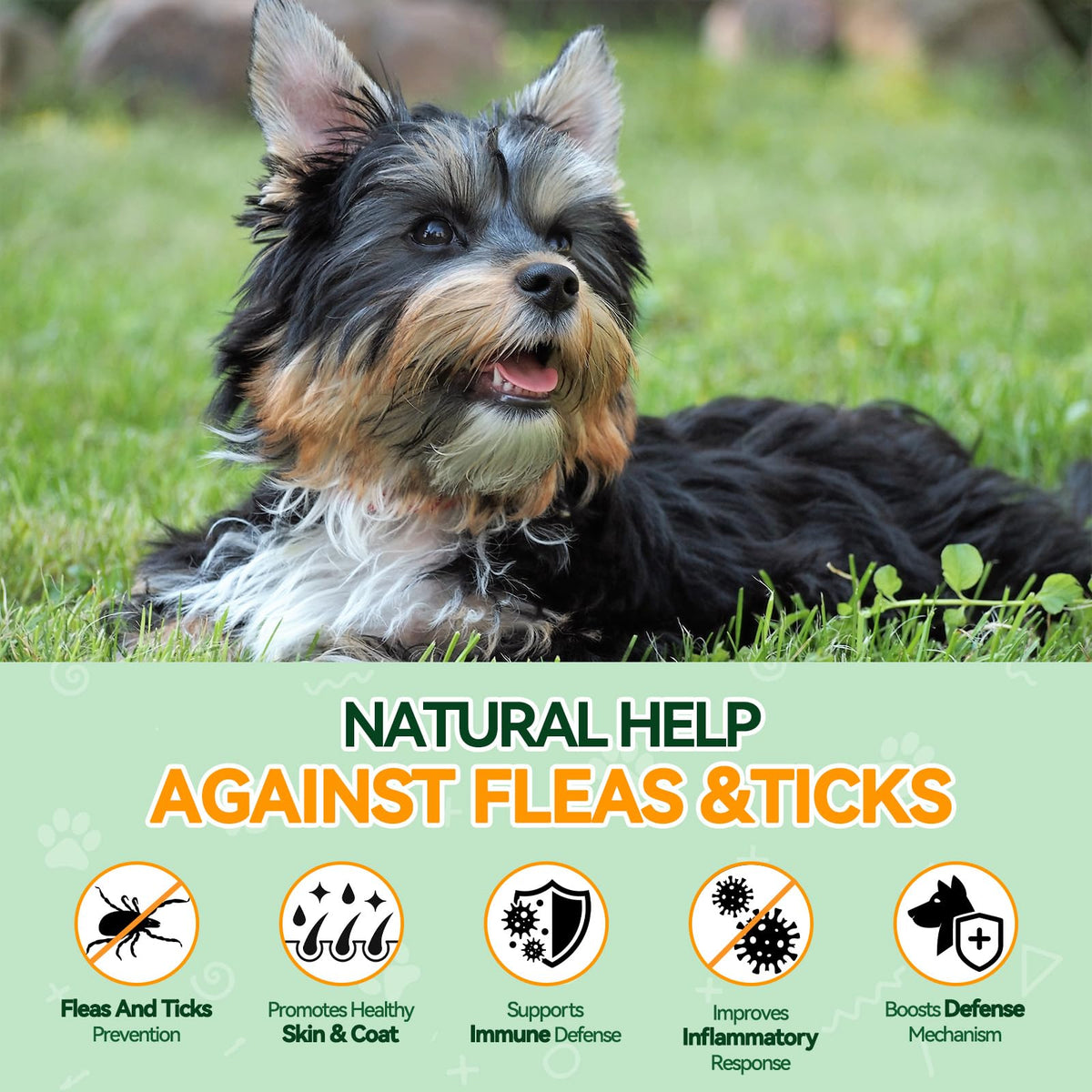 Flea and Tick Prevention for Dogs Q980114