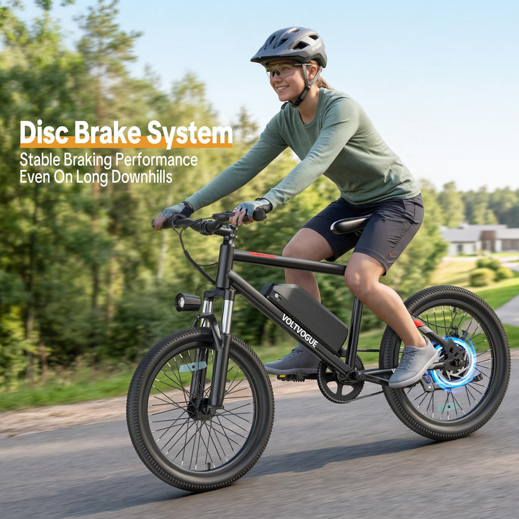 48V 1000W Peak Motor 22 mph 20Inch Fat Tires Electric E-Bike T133