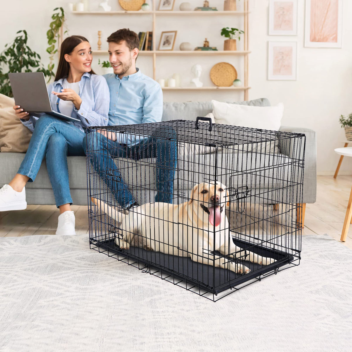 Double Door Folding Metal Wire Dog Crate with Tray T34173