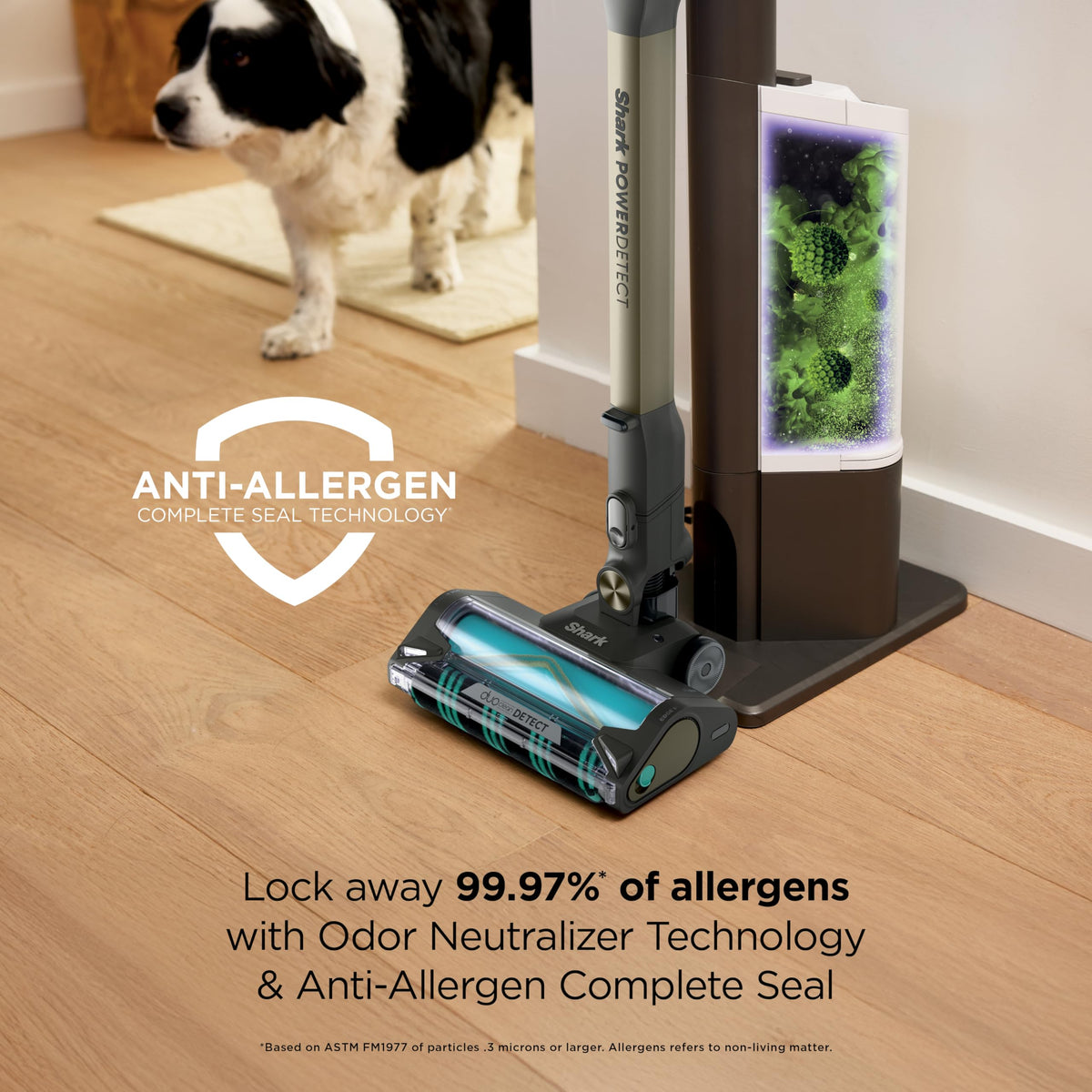Cordless Stick Vacuum W779571