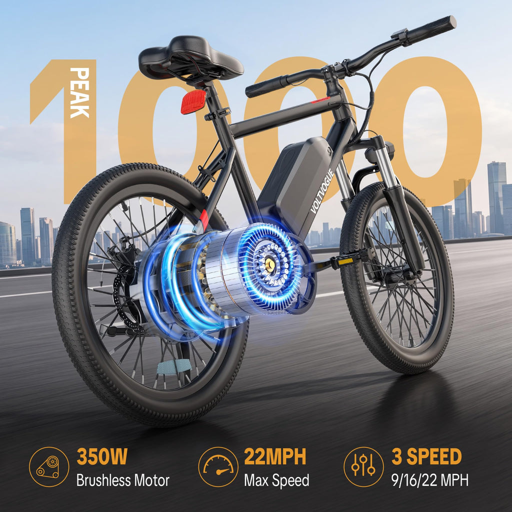 48V 1000W Peak Motor 22 mph 20Inch Fat Tires Electric E-Bike T133