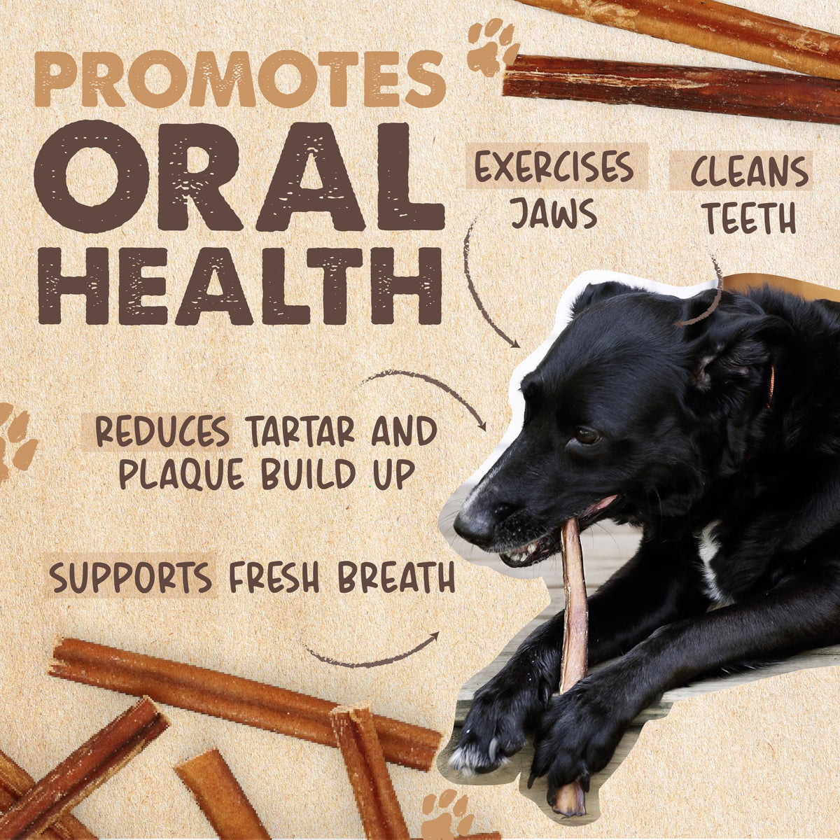12" Bully Sticks Dog Chew O66369